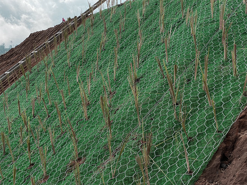 Land Revegetation